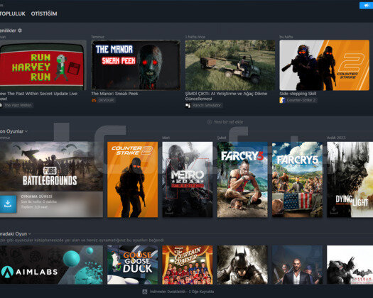 ACİL SATILIK DOLU DOLU STEAM HESABI