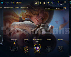 TR Unranked | 3 Kostüm - 29 Hero | LoL Hesap