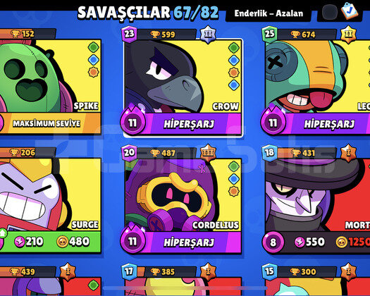 24 K. KUPA +75 KOSTÜM +12 MAX +67 KARAKTER +5 EFSO