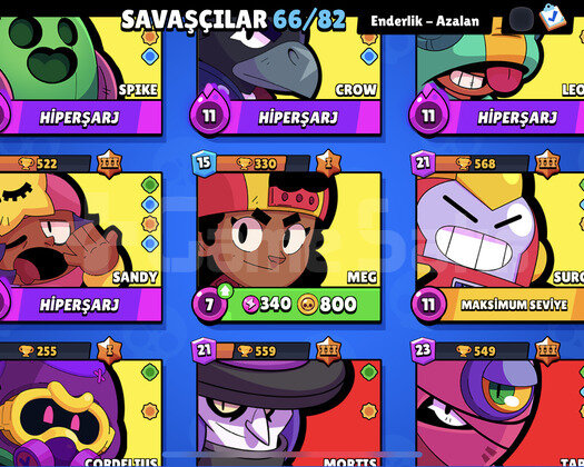 28 K. KUPA+ 10 MAX+ 7 EFSO+ 72 KOSTÜM EFSANE HESAP