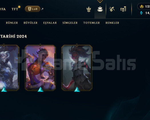 14 BİN MAVİ ÖZ  / 1 YILLIK / KALİTELİ KOSTÜMLER