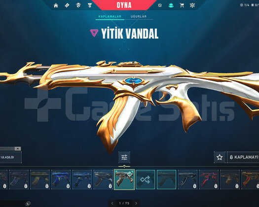 YİTİK VANDAL - TR MAİL DEĞİŞEN HESAP