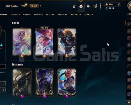 EUW 233LV 180 KOSTÜM MAİNLİK MAİL DEĞİŞEN
