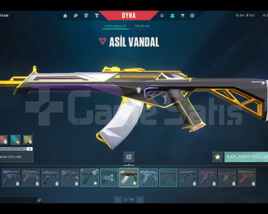 BOL SKİNLİ VALORANT HESAP MAKUL FİYAT