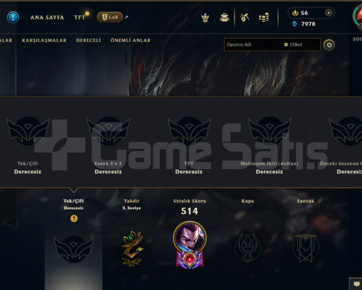 TR 156 KOSTÜMLÜ 209LVL DERECESİZ LOL HESABI