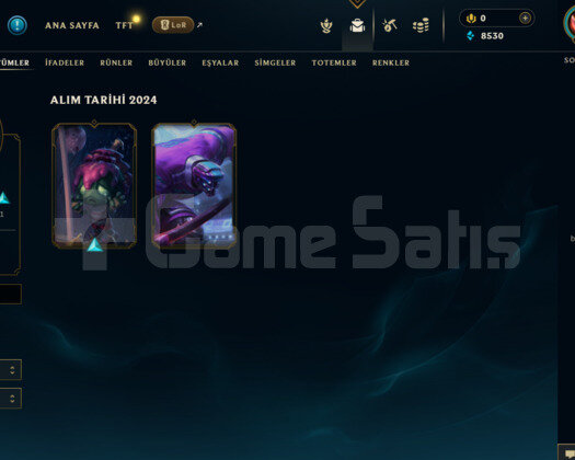 EUW 31 LEVEL GOLD 3 HANDMADE MAİLLİ HESAP!!!