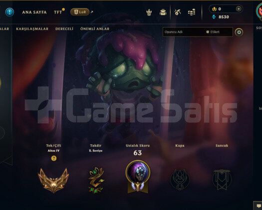 EUW 31 LEVEL GOLD 3 HANDMADE MAİLLİ HESAP!!!