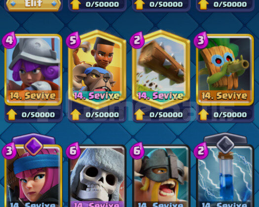 IDsiz | 2 Evrimli | LVL 14 Deck