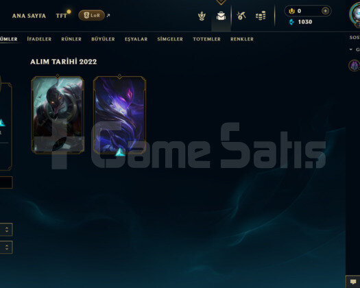 EUW HANDMADE HESAP 3 SKİN