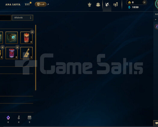 EUW HANDMADE HESAP 3 SKİN