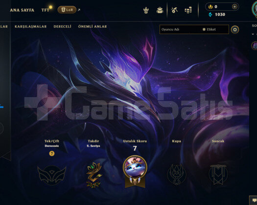 EUW HANDMADE HESAP 3 SKİN