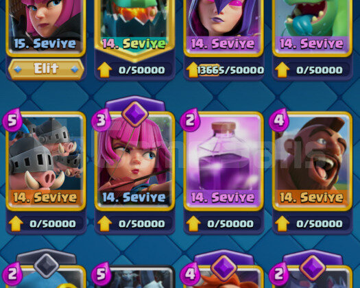 6 Evrimli | 1 Elite Kartlı | LVL 14 Deckli