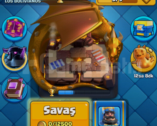 6 Evrimli | 1 Elite Kartlı | LVL 14 Deckli
