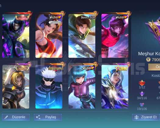 ORANLI 300 SKIN EXP MAIN HESABI