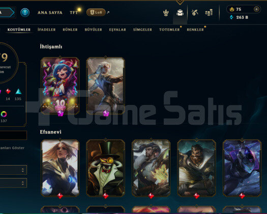 TR 279 Skin | 798LvL | 263K M.Ö | 167 Champ