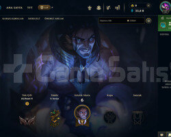TR DEMİR 2 S11 HESABI 33K MAVİ ÖZ