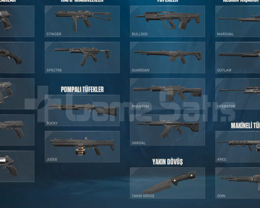 İMMO 2 SMURF HESAP