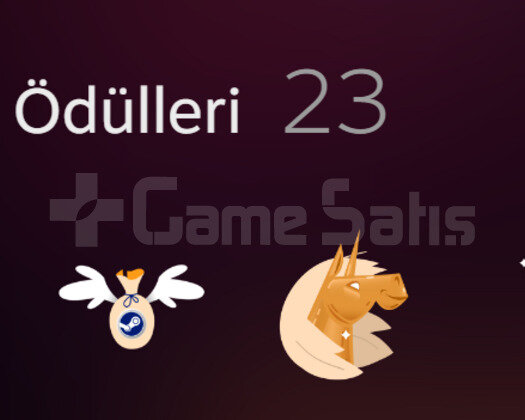Profilinize 23 ödülün tamamı