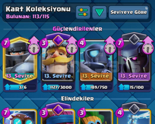 39 LVL | 4 EVRİMLİ | IDSİZ
