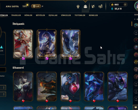 EUW 311 LV 201SKIN 803RP 93 RENK PAKETİ MAİLLİ