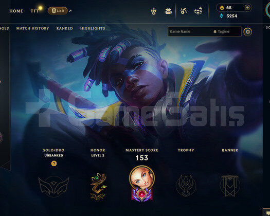 EUW 122 LEVEL - 56 HERO 32 KOSTÜM HANDMADE HESAP