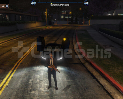 1 MİLYAR PARA +8000 LEVEL FULL UNLOCK +MAİL