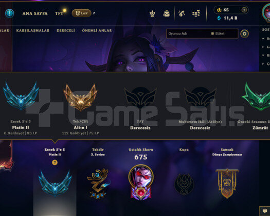 TR 372 Skin | 325 Renk Paketli | 520LvL | Gold 1