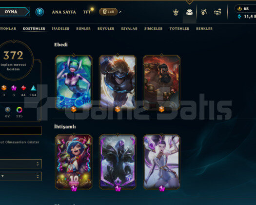 TR 372 Skin | 325 Renk Paketli | 520LvL | Gold 1