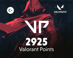 Valorant 2925 VP