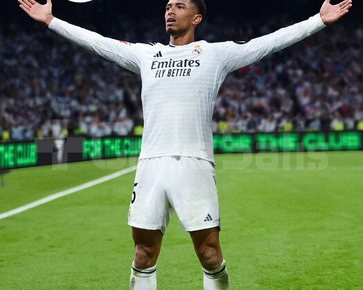 EA SPORTS FC 25 PRİMARY PS4/PS5 +GARANTİ