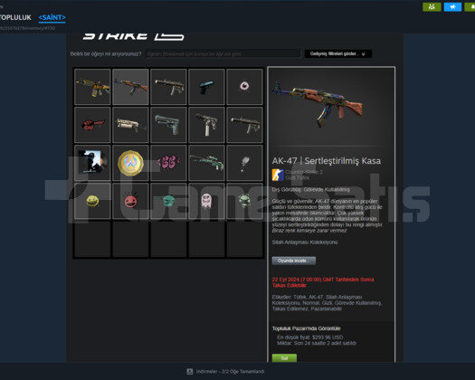 DOLU STEAM HESABI +30 LVL