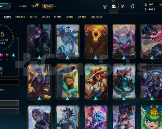 EUW 119 LEVEL - 71 HERO 35 KOSTÜM HANDMADE HESAP