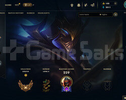 EUW 119 LEVEL - 71 HERO 35 KOSTÜM HANDMADE HESAP