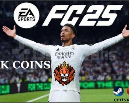 fc 25 230k özel ilan