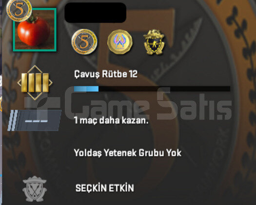 3 MADALYALI 9 YILLIK CS HESABI