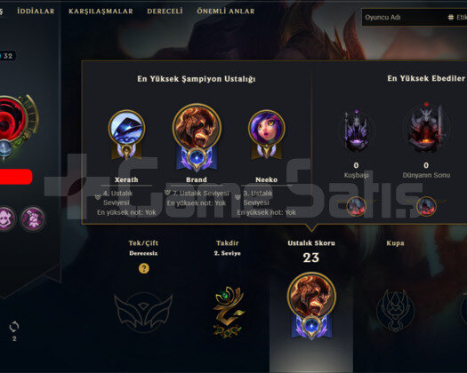 30 LVL UNRANKED HESAP