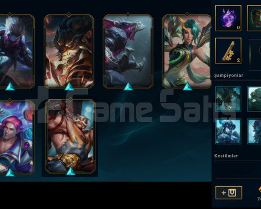 TR 25 LVL 38 ŞAMPİYON HANDMADE - SKINLI HESAP