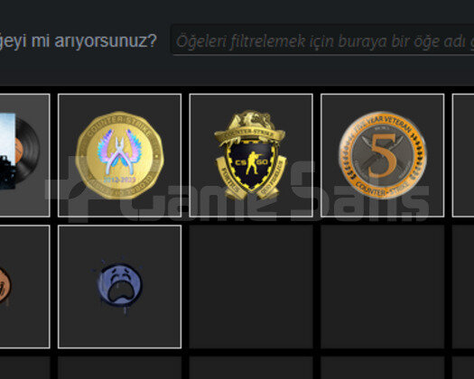 3 MADALYALI 7 YILLIK CS2 HESABI