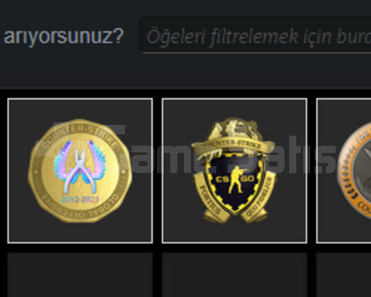 3 MADALYALI 8 YILLIK CS HESABI