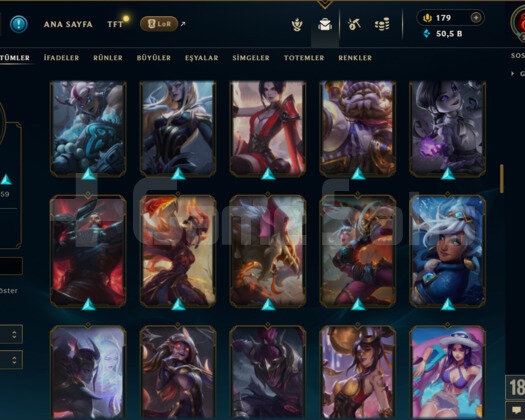 238 LEVEL / 130 SKİN / FUL HERO MAİL DEĞİŞEN