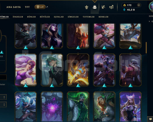 435 LEVEL / 92 SKİN / 100 HERO MAİL DEĞİŞEN
