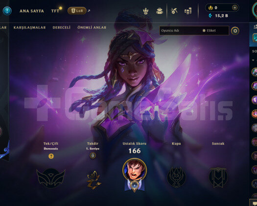 EUW 66 LEVEL HANDMADE 17 SKİNLİ MAİLLİ HESAP!!!