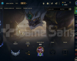 TR 43 LEVEL HANDMADE 11 SKİNLİ MAİLLİ FRESH HESAP!