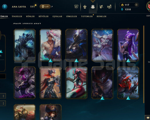 EUW 48 LEVEL HANDMADE 12 SKİNLİ MAİLLİ FRESH HESAP