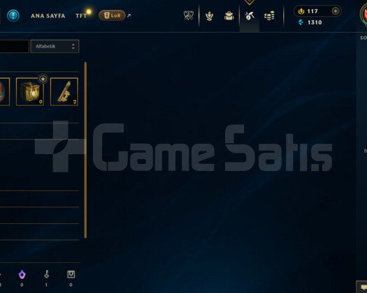 EUW 48 LEVEL HANDMADE 12 SKİNLİ MAİLLİ FRESH HESAP