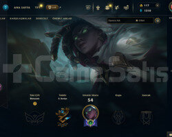 EUW 48 LEVEL HANDMADE 12 SKİNLİ MAİLLİ FRESH HESAP