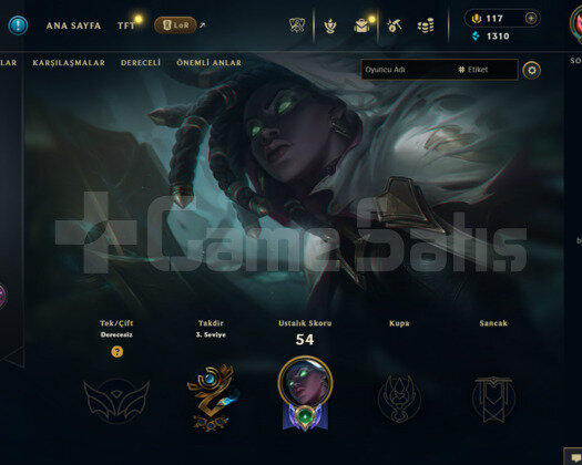 EUW 48 LEVEL HANDMADE 12 SKİNLİ MAİLLİ FRESH HESAP