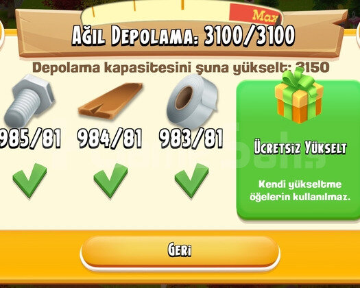 47 LVL 117 MİLYONLUK ALTIN HESABI