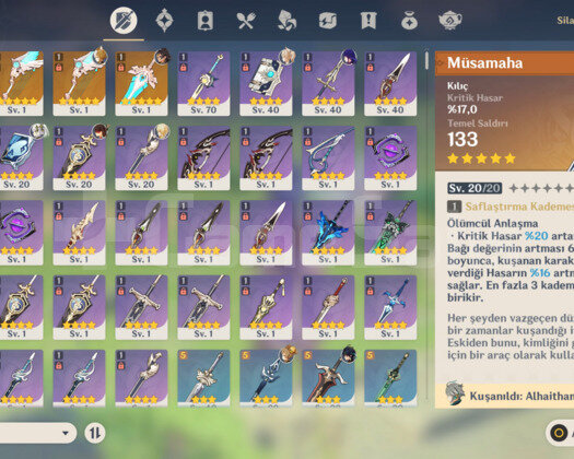 EU | MR 49 Alhaitham ++