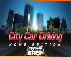 City Car Driving